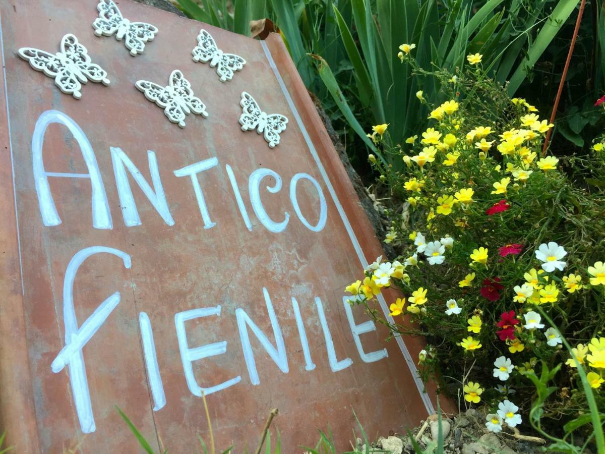Antico Fienile Villa Celleno Eksteriør billede